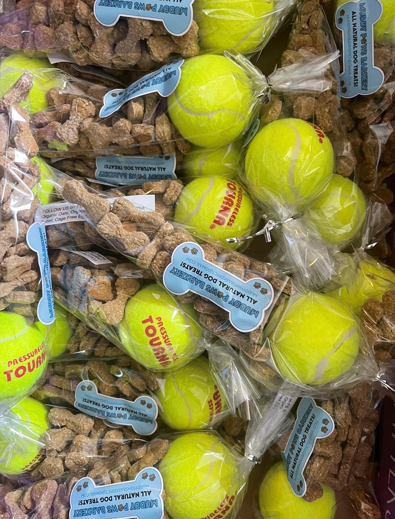 Tennis Ball Treat Training Bag